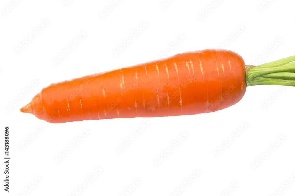 Carrot isolated on white background. Carrot isolated on white background.