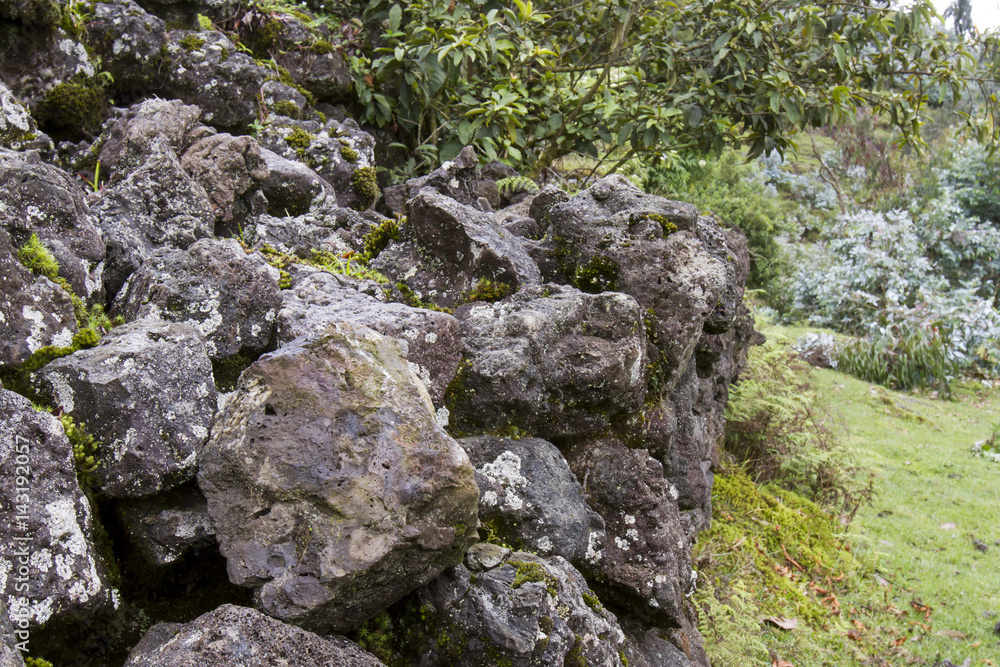 Buffalo wall in Volcanoes National Park, Rwanda