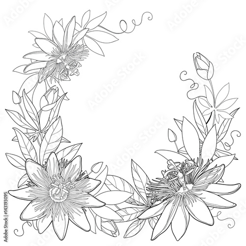 Vector wreath with outline tropical Passiflora or Passion flowers, bud, leaves and tendril isolated on white background. Ornate floral elements in contour style for summer design and coloring book.
