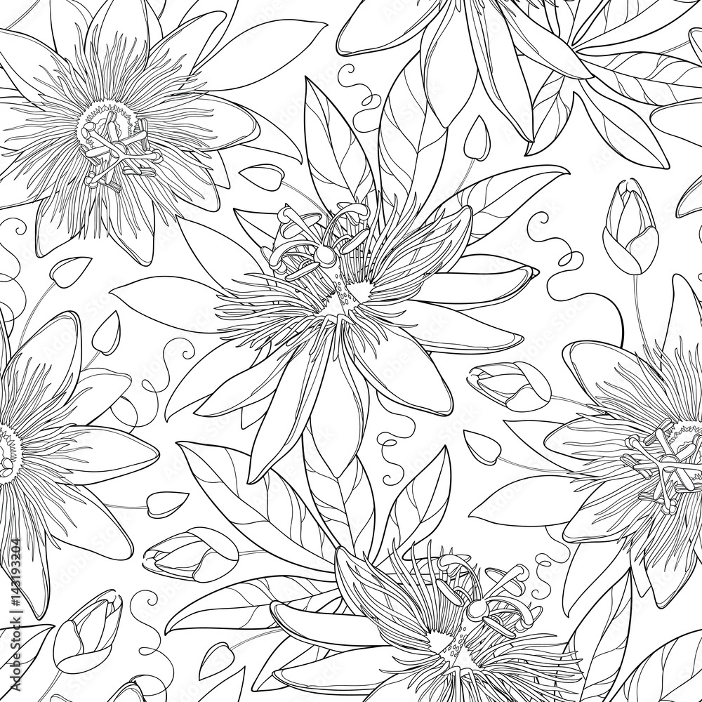 Vector seamless pattern with outline tropical Passiflora or Passion flowers, bud and leaves on the white background. Floral background in contour style for exotic summer design and coloring book. - obrazy, fototapety, plakaty 