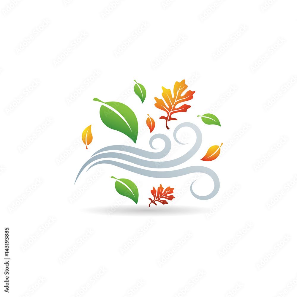 Fototapeta premium Color Icon - Autumn leaves
