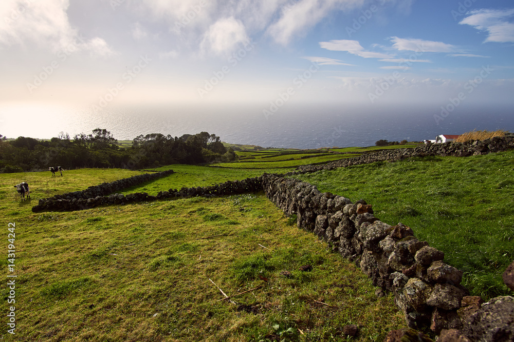 View towards the sea on a beautiful afternoon on island Terceira, Azores, Portugal