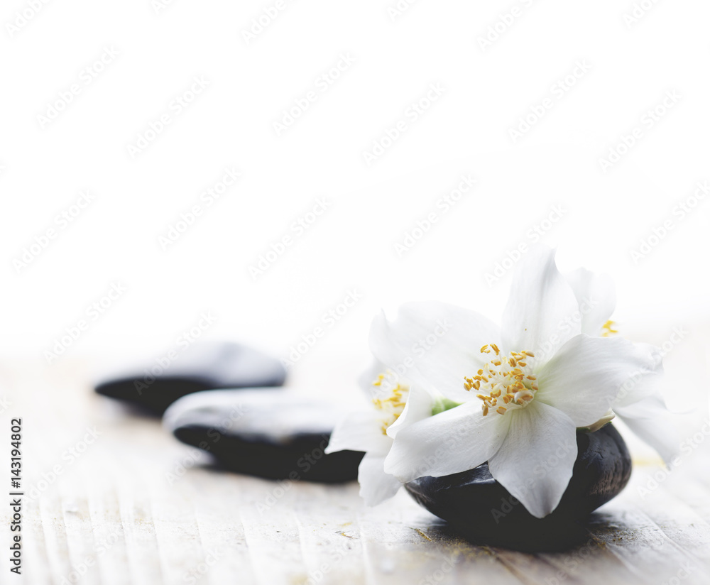 Jasmine flower on spa stones Jasmine flower on spa stones