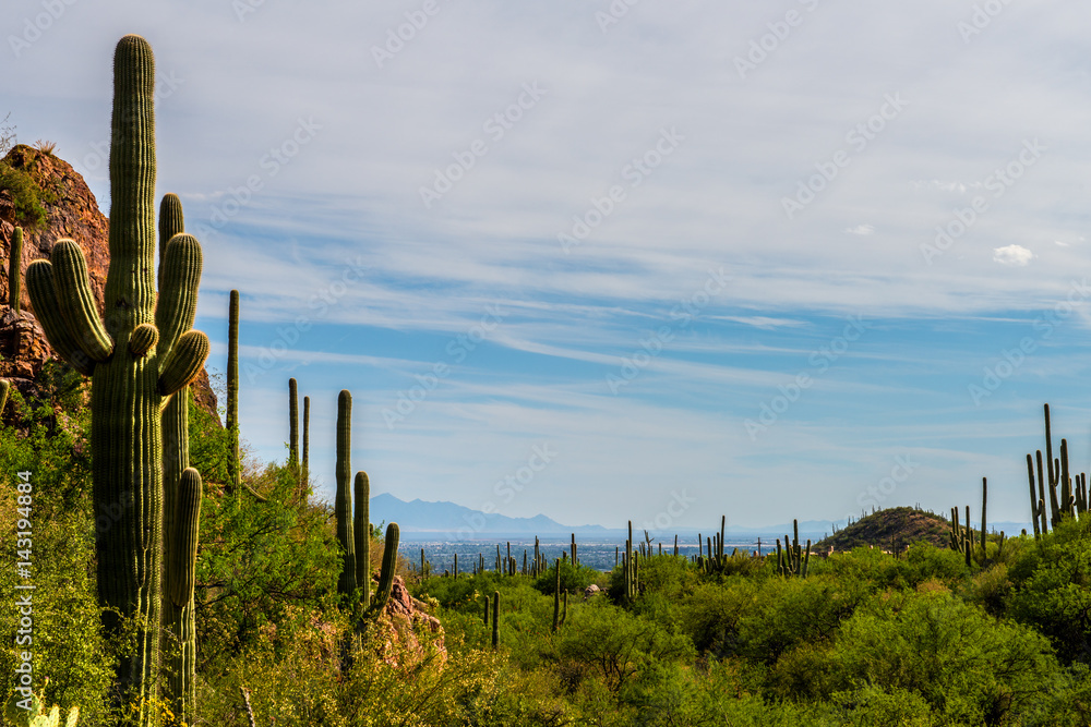 Hiking in Tucson