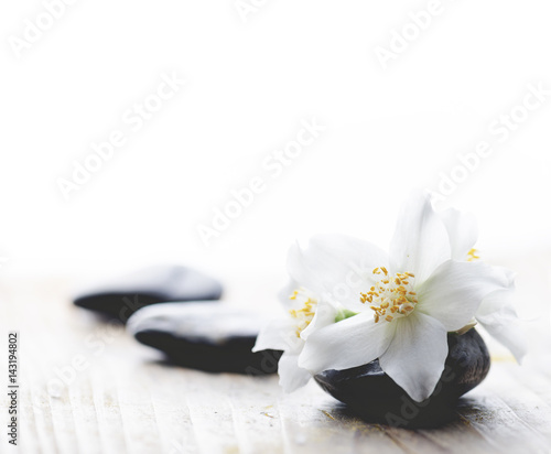 Jasmine flower on spa stones