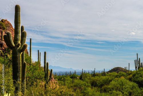Hiking in Tucson © SE Viera Photo