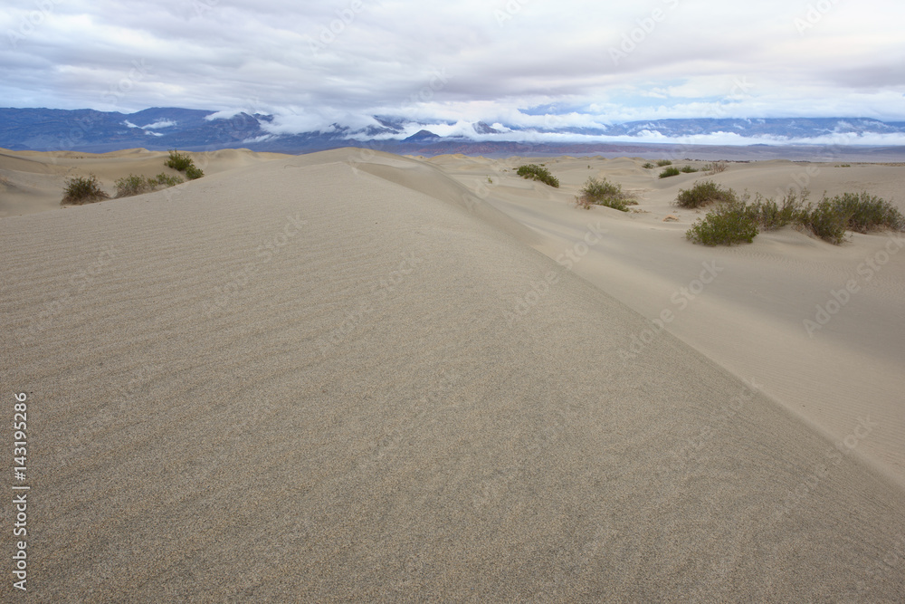 Fototapeta premium Mesquite Dunes after Storm
