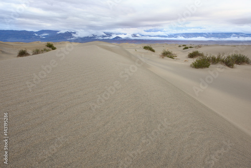 Mesquite Dunes after Storm