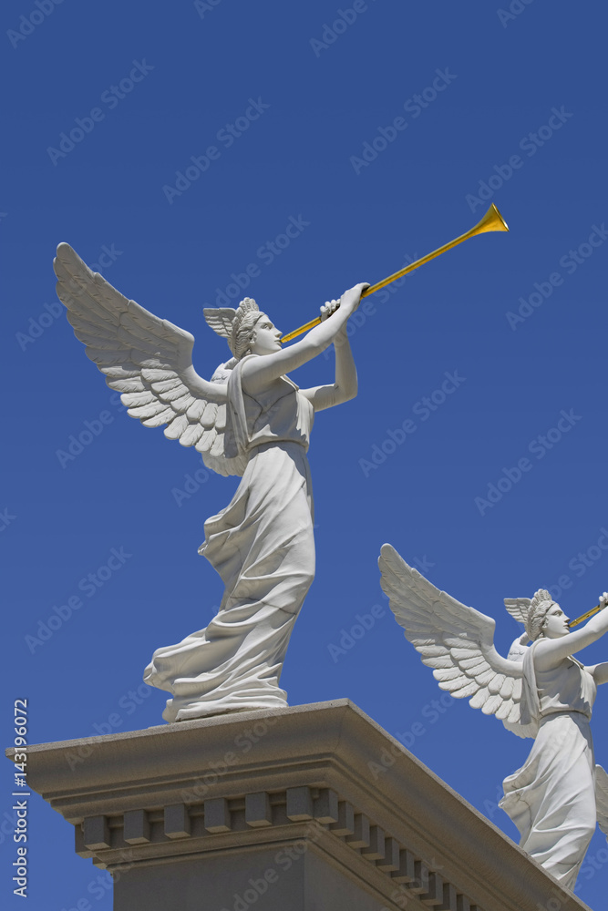 Angel trumpeter