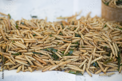 THAILAND CHIANG RAI MARKET FOOD INSECTS