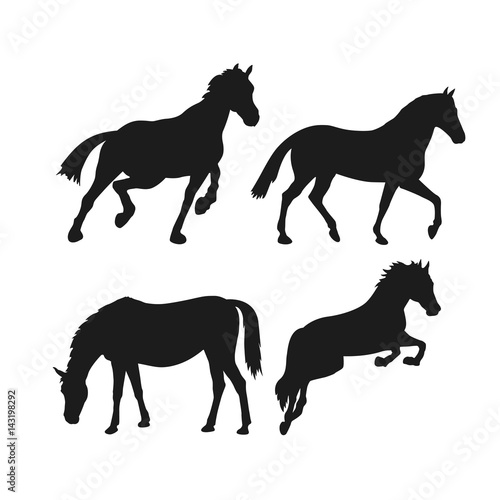 wild horses silhouette. set vector illustration