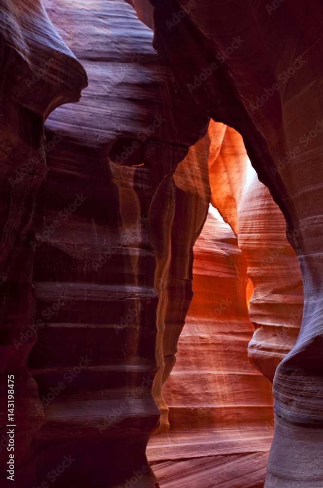Scenic canyon Antelope