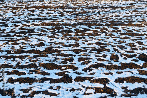 Thawed patches on the ground in early spring