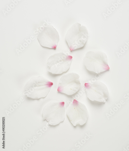Pétalos de flor del almendro, spring background
