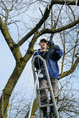Man cutting a branch of withered tree.