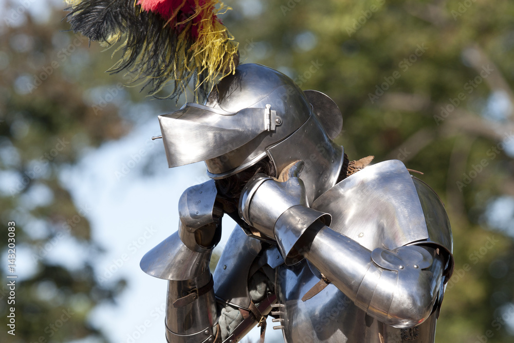 Naklejka premium Medieval Knight