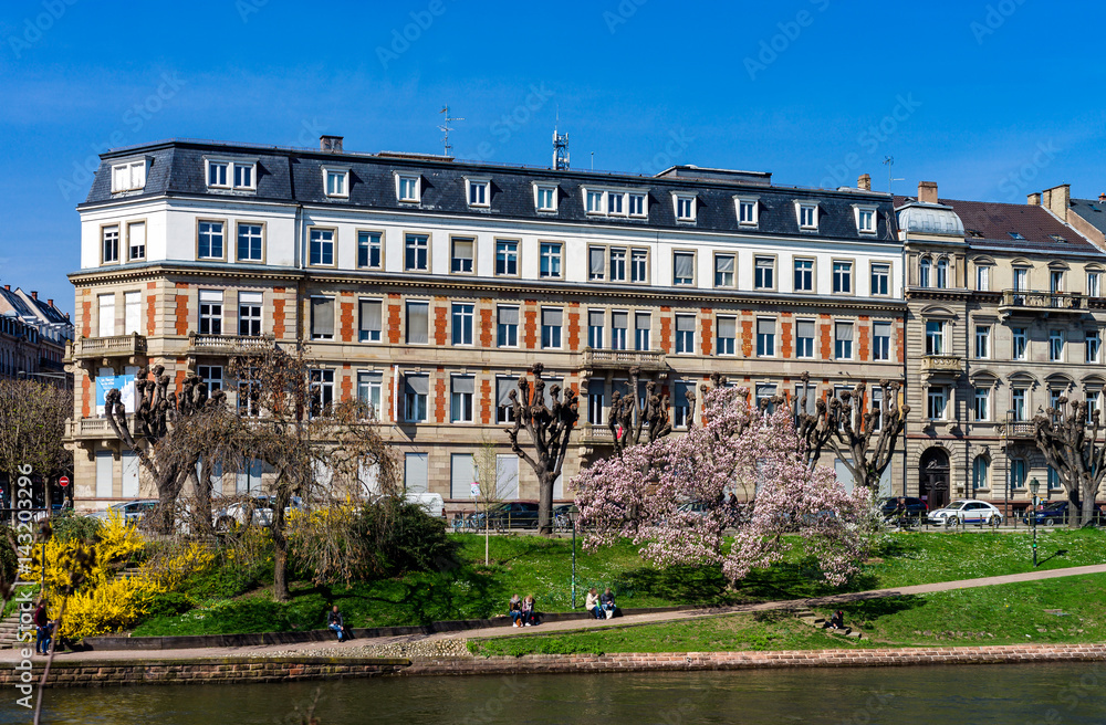 Flowering springtime in Strasbourg, street view