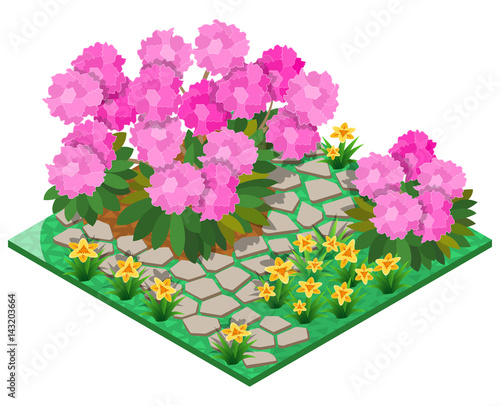 Ornamental garden with rhododendron, lily and stone pavement. 3D isometric view. Vector illustration.