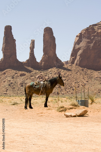 Tableau sur toile Horse. Monument Valley
