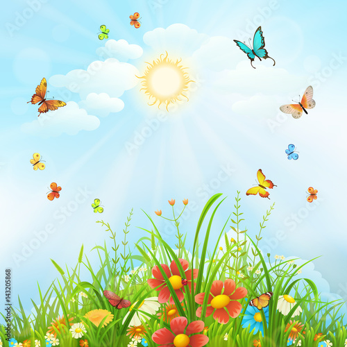 Summer background with butterflies, flowers and green grass