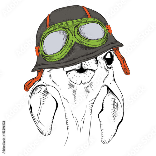 The poster with the portrait of the roe deer wearing the motorcycle helmet. Vector illustration.