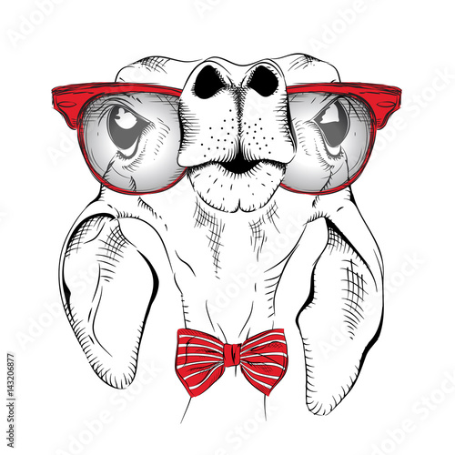 Image Portrait of roe deer in the cravat and with glasses. Vector illustration.