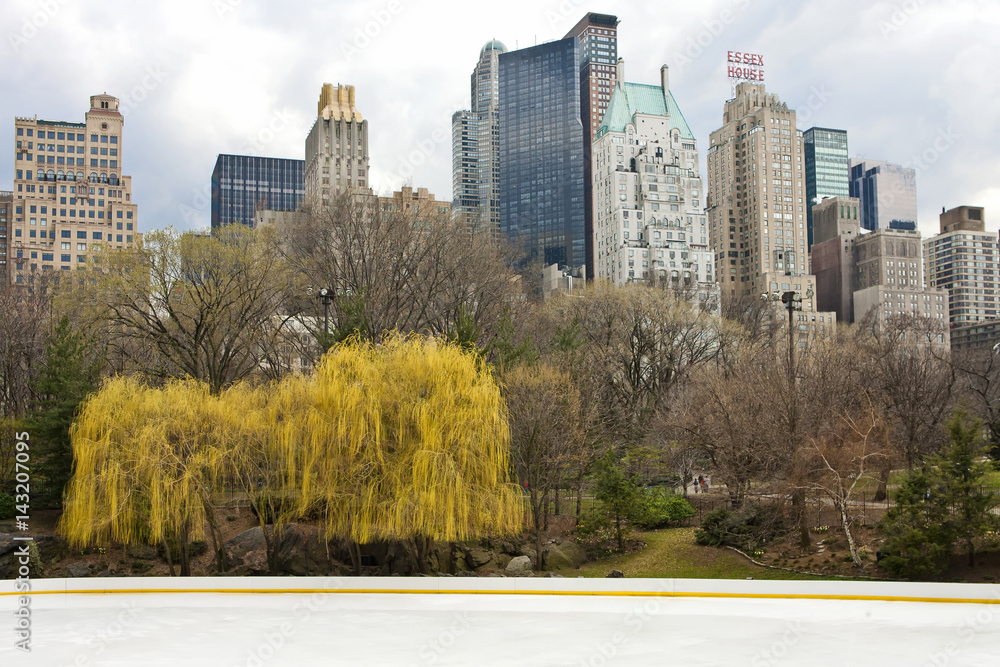 Obraz premium Mahhattan