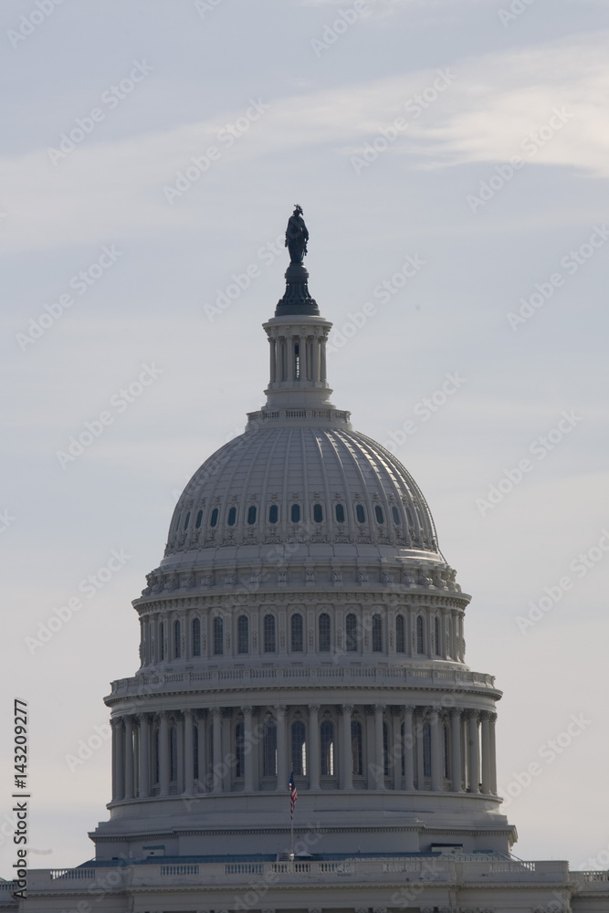 Fototapeta premium The United States Capitol building