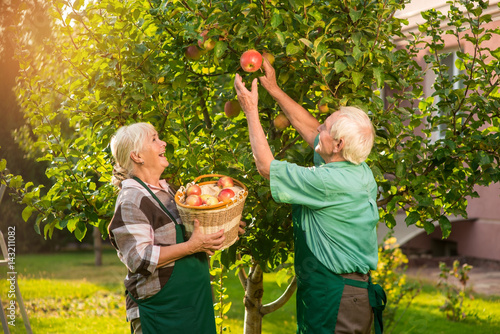 Canvas Print Man and woman picking apples
