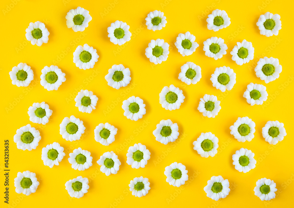 White camomile flowers on yellow background - Spring creative pattern, flat lay, top view. Flowers composition. White camomile flowers on yellow background - Spring creative pattern, flat lay, top view. Flowers composition.