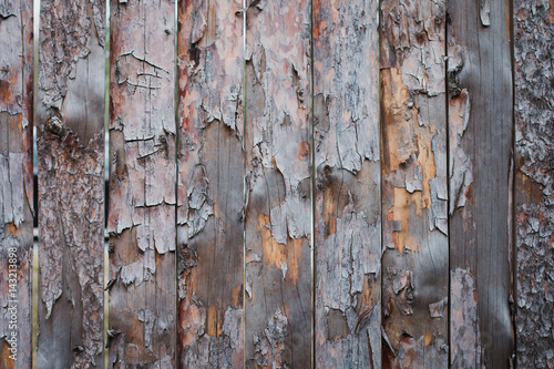 Background of wooden boards with a bough photo