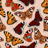 Varicolored butterflies seamless