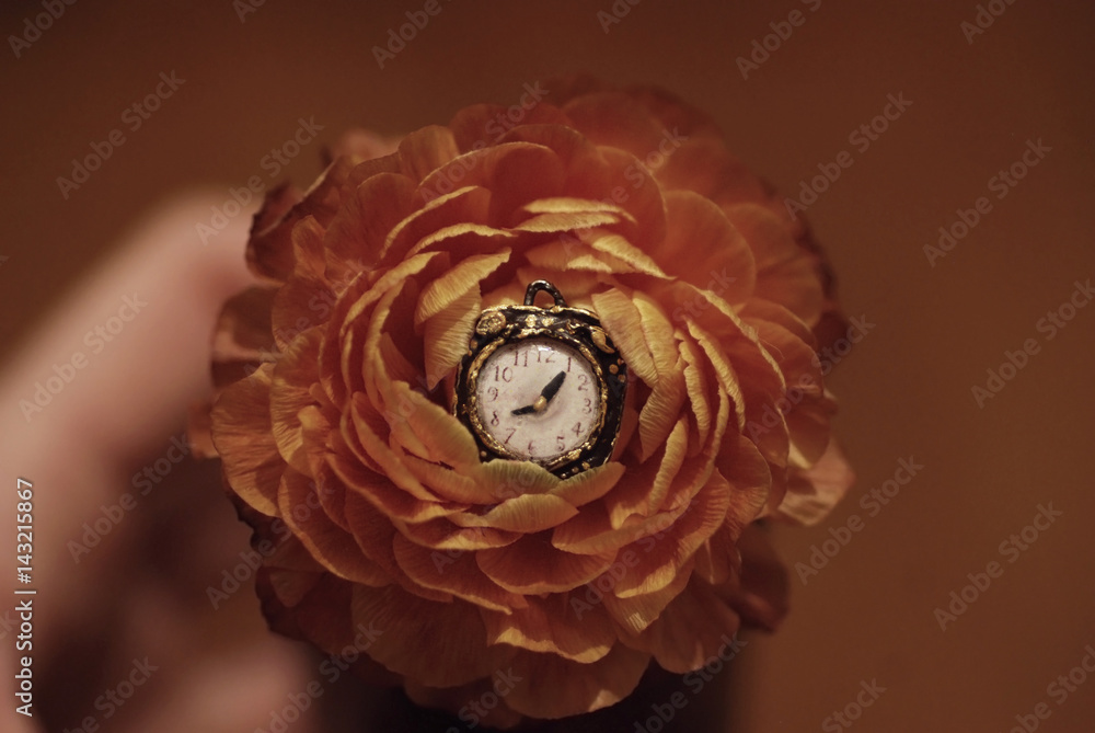 Fototapeta A tiny clock in a blooming flower - concept for time flies