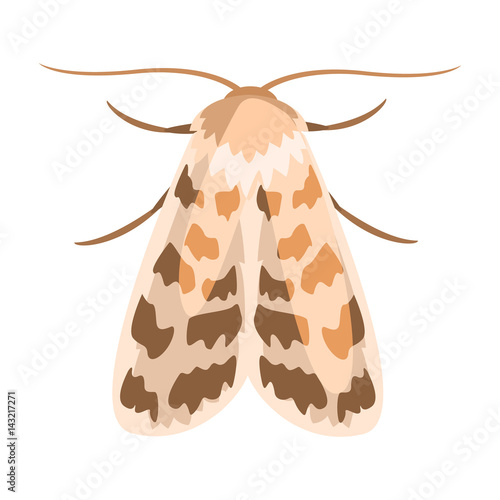 Ash sphinx moth or manduca jasminearum. Colorful cartoon illustration