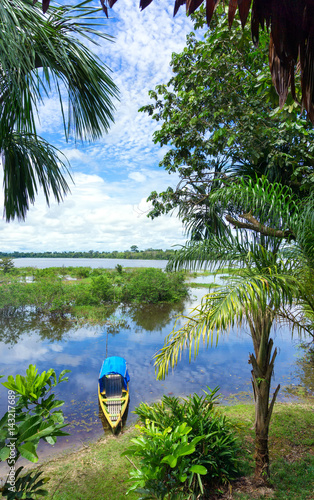 Fototapete Canoe in Amazon Rainforest