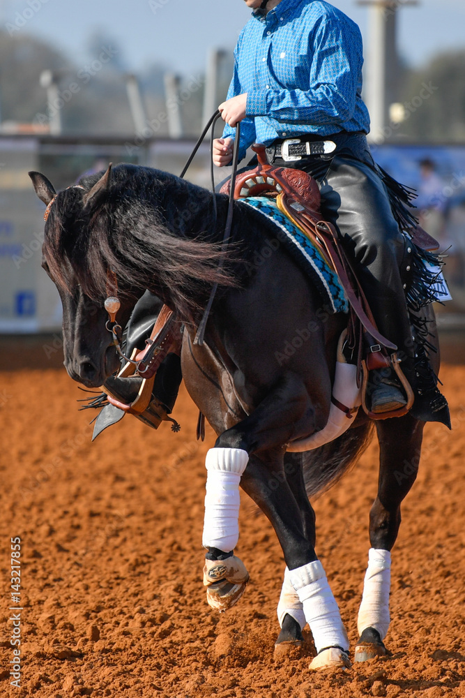 A front view of a rider on horseback A front view of a rider on horseback