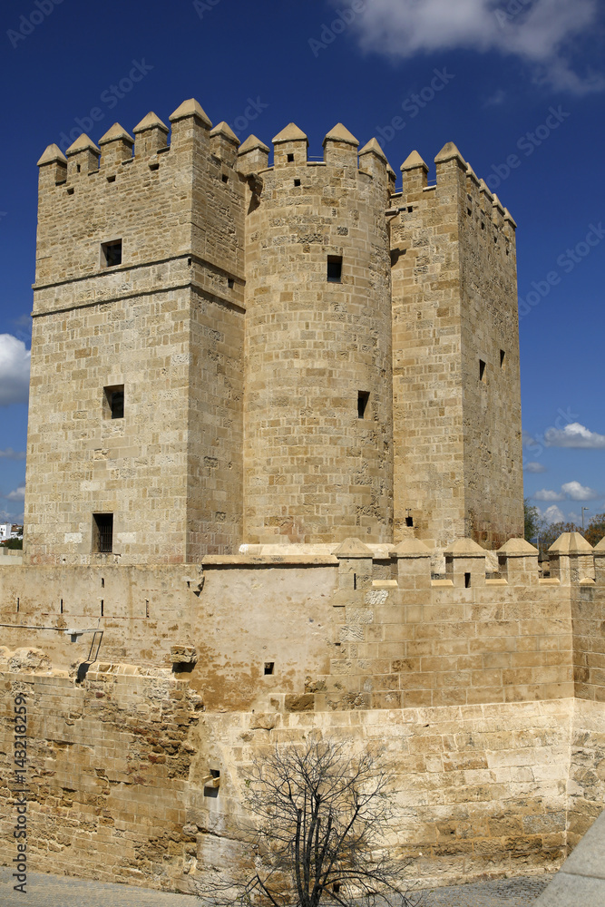 The Calahorra Tower and the Roman Bridge in Cordoba, Andalusia, Spain
