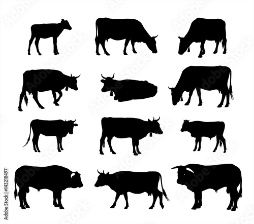 Black Cat silhouette vector icon set isolated on white