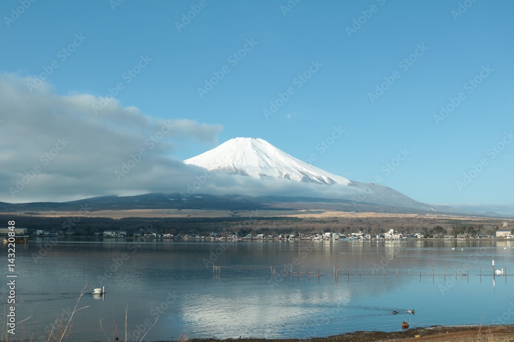 山中湖からの富士山/美しく冠雪する山中湖からの富士山