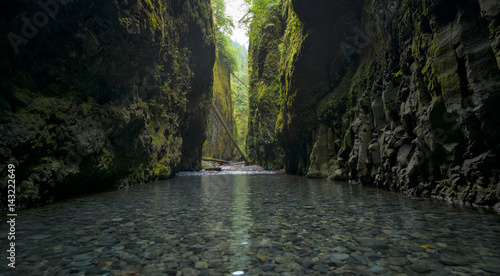 Lower Oneonta Falls waterfall located in Western Gorge, Oregon. photo