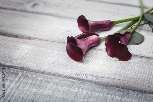Fototapeta Naklejka Na Ścianę i Meble -  Three violet callas lie on a wooden table, space for text