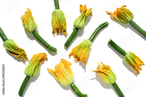 Zucchini flowers on a white background in sunny light