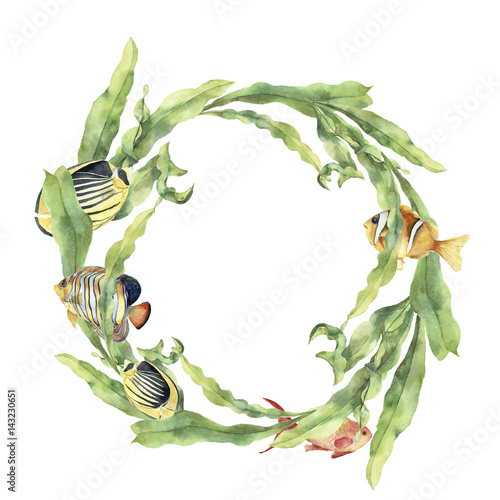 Photography Watercolor sea wreath with laminaria and tropical fish