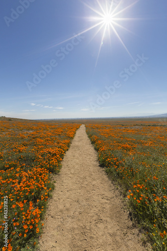 Hiking path at the Antelope Valley California Poppy Reserve State Park.