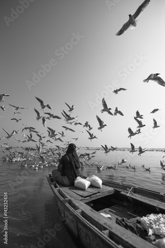 Migrating birds in Varanasi
