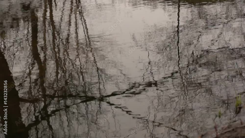 Surface of a forest stream. Slow motion Surface of a forest stream. Slow motion