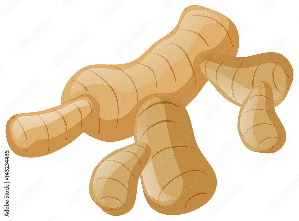 Fresh ginger on white background Fresh ginger on white background