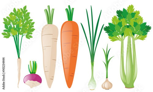 Different types of root vegetables