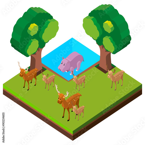 Wild deers and hippo in forest