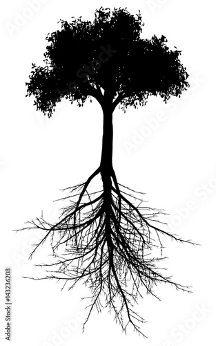 Tree with roots silhouette